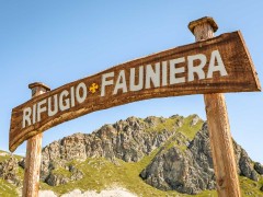 Rifugio Fauniera
